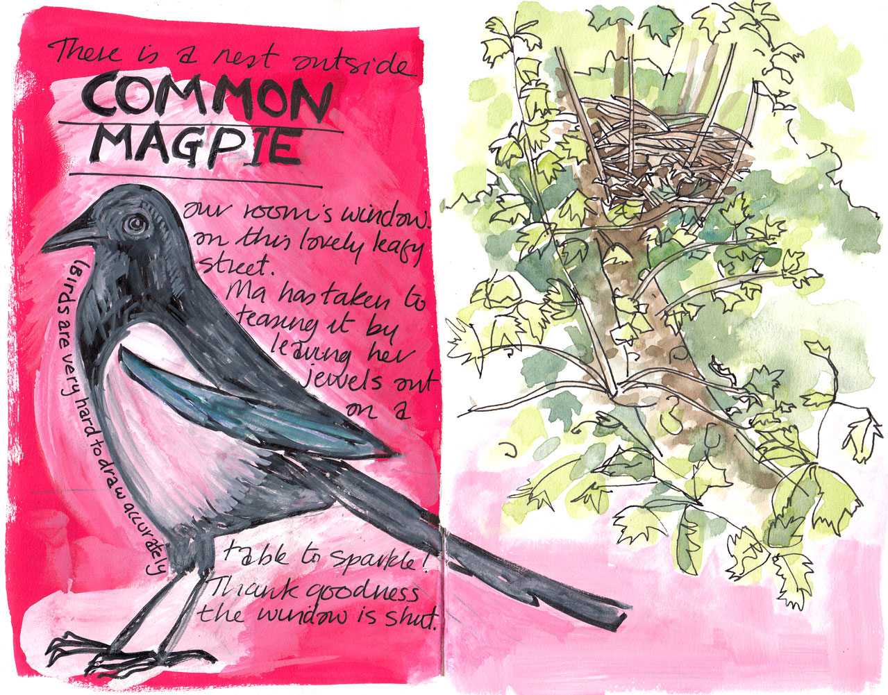 common-magpie